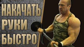 Бесплатная программа тренировки - РУКИ! Алексей Борисов