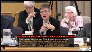 Senator Plett Raises Absence of Safeguard in Bill C-14 (Medical Assistance in Dying)