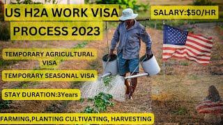 US H2A Work Visa Process 2023 (Temporary Agriculture Visa)#USA#usavisas #usvisa #us #usworkvisa