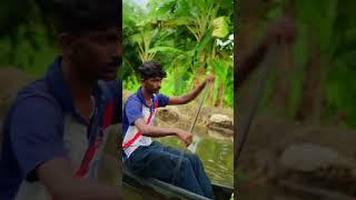 Peaceful boat rides in Alleppey #kerela #alleppey