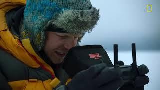 Emperor penguin chicks jump off a 50-foot cliff in Antarctica NEVER-BEFORE-FILMED FOR TV | Nat Geo