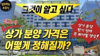 신도시 상가 분양가격은 어떻게 정해질까? '상가 분양 받기 전에 꼭 봐야할 영상!