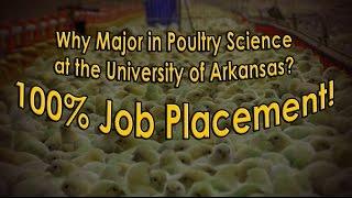 Why Major in Poultry Science?  100% Job Placement!