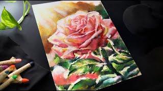 ASMR  Rose Drawing with Pastels |  Calming Sounds | No Talking