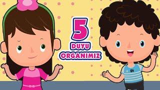 5 Duyu Organımızı Tanıyalım | Eğlenceli ve Eğitici Çocuk Şarkısı | Tatlış Tavşan