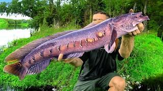 Snakehead Fishing