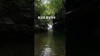 #강원도계곡 #camp #travel #camping #캠핑 #계곡 # 강원도 #벨뷰캠핑장 #흥정계곡 #nature