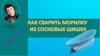 КАК СВАРИТЬ МОРИЛКУ ИЗ СОСНОВЫХ ШИШЕК