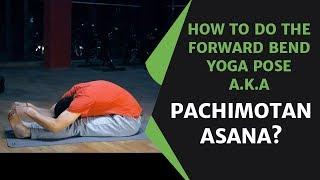 How to do the Forward Bend Yoga Pose a.k.a Pachimotan Asana?