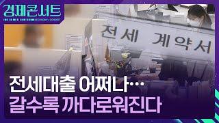 전세대출, 이대로면 점점 힘들어진다 [경제콘서트] / KBS  2024.10.31.