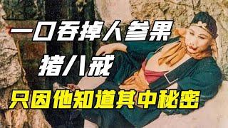 为何猪八戒要一口吞掉人参果，连嚼都不嚼？只因他知道其中秘密