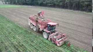 HOLMER T4-40 DEMO, loonbedrijf pauly nv