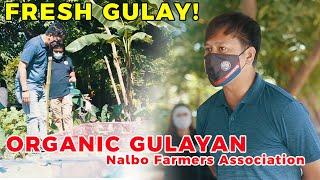 Organic Gulayan | Nalbo Farmers Association