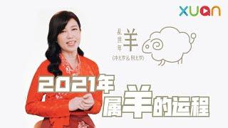 2021年属羊的运程 今年小人多！｜ 鲍一凡老师说生肖