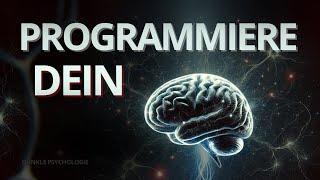 Warum du dein Gehirn falsch nutzt – und wie du es endlich meisterst!