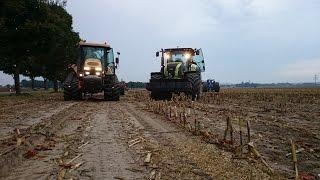 Claas Axion 950 und Cat MT 765 beim Grubern auf Maisland