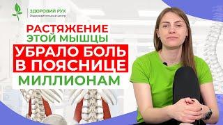 БОЛИТ ПОЯСНИЦА? Растяжение этой мышцы УБРАЛО БОЛЬ В ПОЯСНИЦЕ МИЛЛИОНАМ! | Кинезитерапия