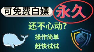 白鲸加速器 丨安易加速器，可白嫖10年！ 几分钟教你免费白嫖时长到永久！