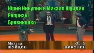 Юрий Никулин и Михаил Шуйдин. Брёвнышко [Репризы]