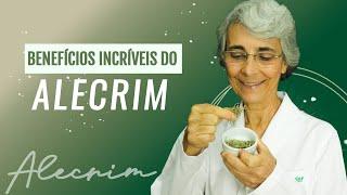 Alecrim emagrece? Conheça o poder dessa planta