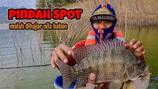 SANGAT NYATA‼️ PINDAH SPOT MALAH DIHAJAR NILA BABON || mancing ikan nila di waduk wonorejo