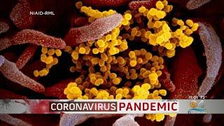 15 New Cases Of Coronavirus In Florida