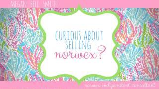 norwex business opportunity - megan bell smith