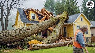 Dangerous Fastest Idiots Cutting Tree Fails Skill With Chainsaw | Tree Falling on Houses #11