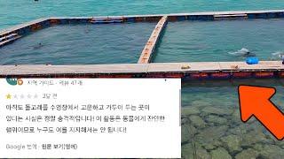 역대급 돌고래 지옥... 기대 많이했는데 대실망했습니다. 돌고래들을 여기에 왕창 욱여넣고 이 돈을 받네요. #이시가키