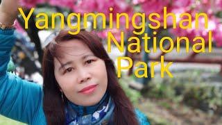 Yangmingshan National Park