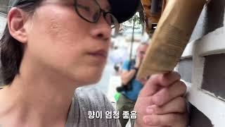 Bukchon Hanok Village /onion카페/ 북촌한옥마을 vlog