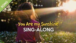 You Are my Sunshine (Lullaby Version)  Sing-Along with Lyrics for Kids  [SONG]