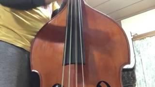 SLAP BASS BLUEGRASS