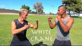 Real White Crane Kung Fu - Top 10 Crane Fighting Moves!