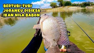 TEPAT DUGAANKU‼️BERTUBI-TUBI JORANKU DIHAJAR IKAN NILA BABON || mancing ikan nila di waduk sangiran