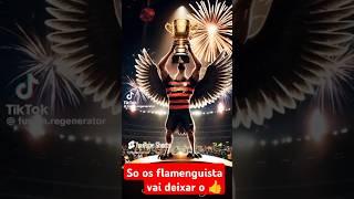 Só quem  é flamenguista vai deixar o link #futebol #ojogadorquejaestaem2030 #detorcedorparatorcedor