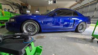 Watch this 2003 Sonic Blue Cobra go from dull to an absolute beauty.