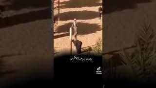 عطف الام و حنانها @منوعاتعلىكيفكومزاجك