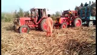 2 Belarus 510 tractors pulling trolley- Sindh tractors videos _643