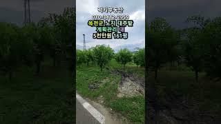 (매물번호14119) 5천만원 옥천부동산 532㎡(161) 옥천땅 옥천토지매매매물 시골땅 촌땅 주말농장 귀농귀촌 전원주택지 집터 대전토지 청주땅 대전땅 보은토지 보은부동산