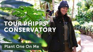 Tour PHIPPS CONSERVATORY in Pittsburgh, PA — Ep. 380