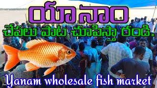 Yanam chepala paata, yanam wholesale fish market