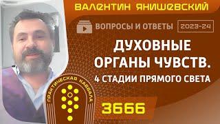 Каббала.ДУХОВНЫЕ Органы чувств. 4 СТАДИИ ПРЯМОГО СВЕТА . Вопросы и ответы.