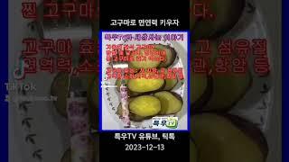 우리집가족 건강, 식생활정보 [1편] 고구마로 면연력 지킨다.