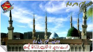 New Birhavi Naat Status|| shayari Babul Nadeem// Naat status Ns