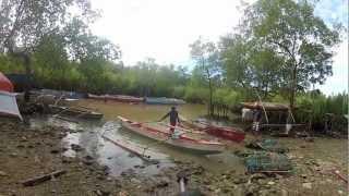 Wild Duck Hunting in Leyte Philippine