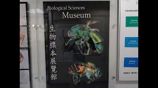 HKU Biological Sciences Museum 香港大學生物標本展覽館 [KA177]