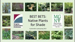 Best Bets: Native Plants for Shade