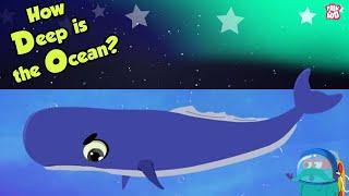 How Deep Is The Ocean? | OCEAN DEPTH | Dr Binocs Show | Peekaboo Kidz