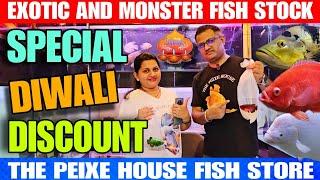 Exotic And Monster Fish Stock | Special Diwali Discount On Aquarium Fish | Most Beautiful Fish Shop